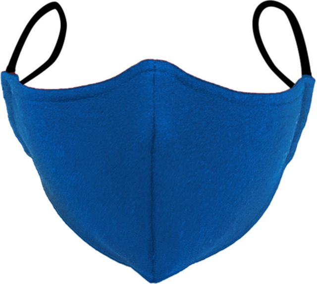 PROTECTIVE FACE MASK 2PK ROYAL